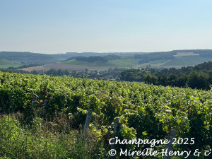 Image Séjour en Champagne - Lac d'Orient