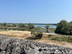 Image Séjour en Champagne - Lac d'Orient