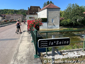 Image Lac d'orient - Champagne