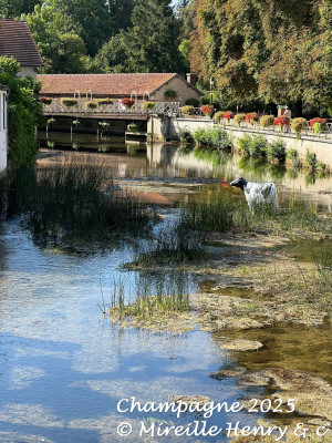Image Lac d'orient - Champagne