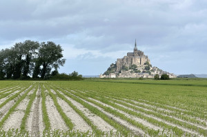 Image Voie de la Liberté - Périers 2026